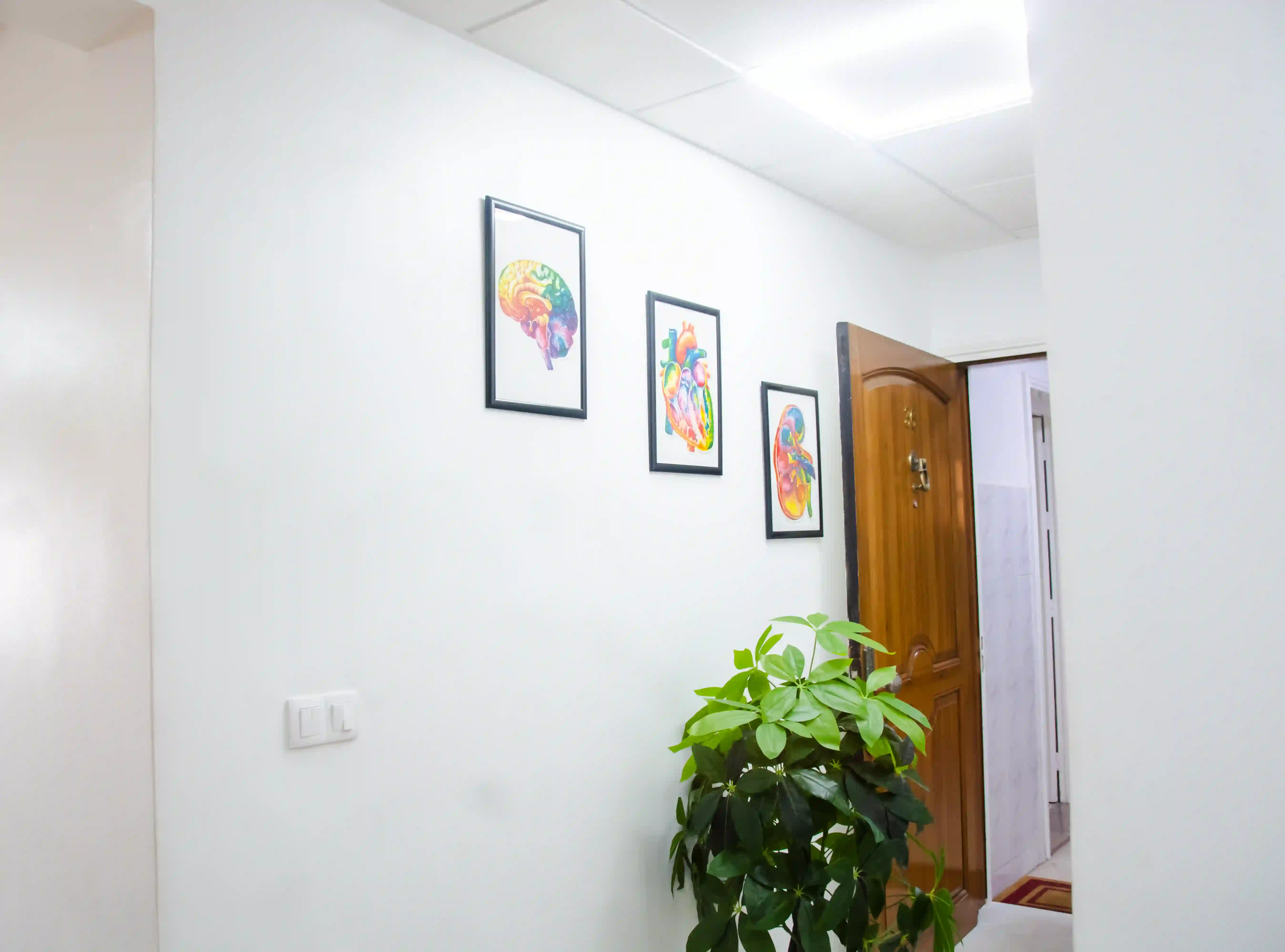 Couloir du laboratoire avec illustrations d'anatomie - Laboratoire Souss